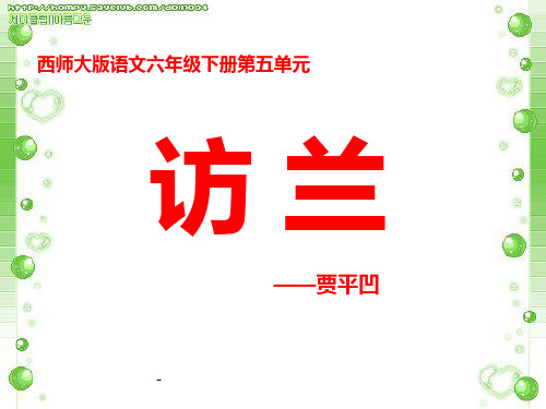 19访兰-精品课件