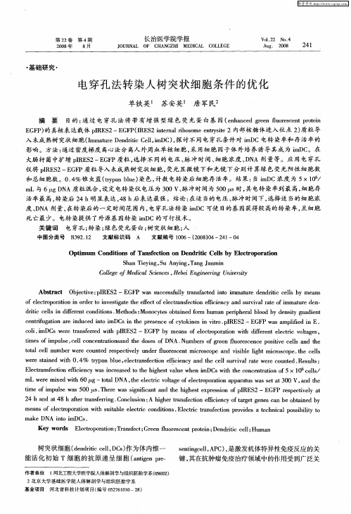 电穿孔法转染人树突状细胞条件的优化