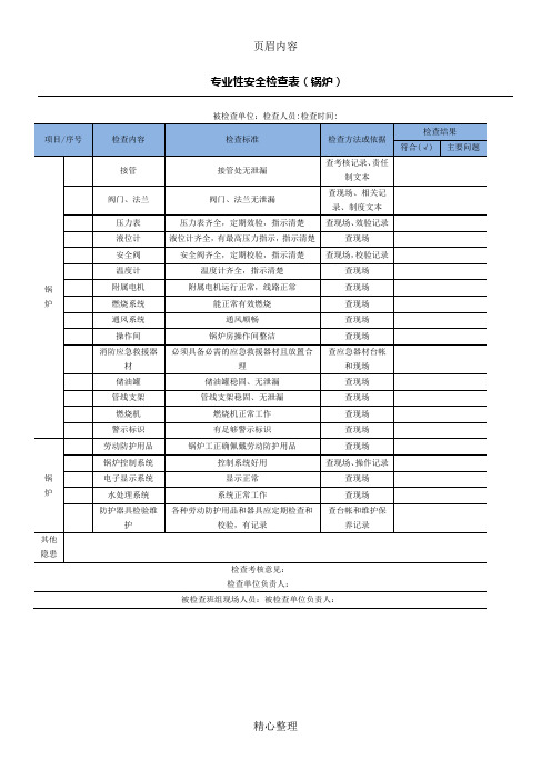 专业性检查(锅炉)