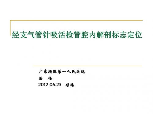 经支气管针吸活检管腔内解剖学标志定位