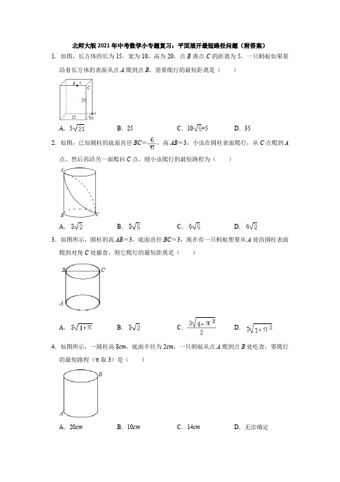 2021年九年级中考数学小专题复习平面展开最短路径问题(附答案)