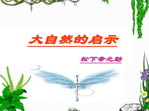 人教版小学四年级语文下册课件《12-大自然的启示》ppt课件.