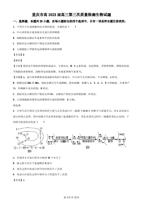 重庆市沙坪坝区南开中学校2022-2023学年高三11月月考生物试题(解析版)