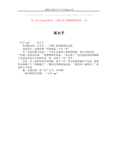 【最新文档】坏小子-实用word文档 (1页)