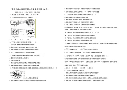 山东省曹县三桐中学2022届高三第一次月考生物试题 Word版含答案