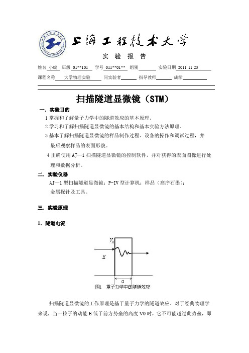 扫描隧道显微镜(STM)实验报告