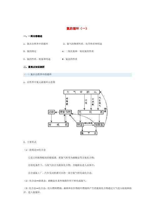 氮的循环经典教案第1节