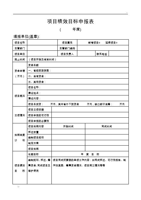 项目绩效目标申报表