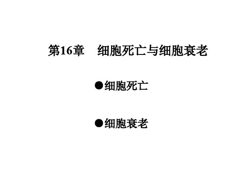 细胞生物学：第16章 细胞衰老与死亡