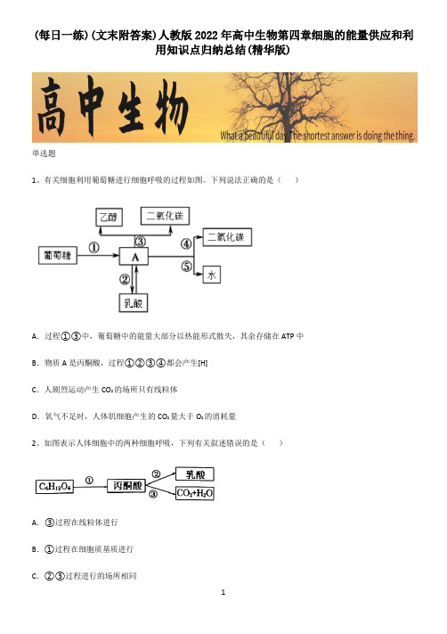 (文末附答案)人教版2022年高中生物第四章细胞的能量供应和利用知识点归纳总结(精华版)