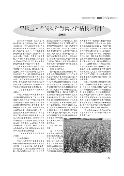 旱地玉米垄膜沟种微集水种植技术探析