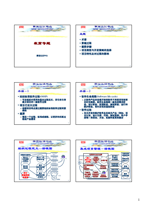 CMMI3-裁剪-培训资料