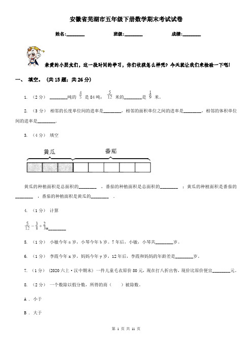 安徽省芜湖市五年级下册数学期末考试试卷