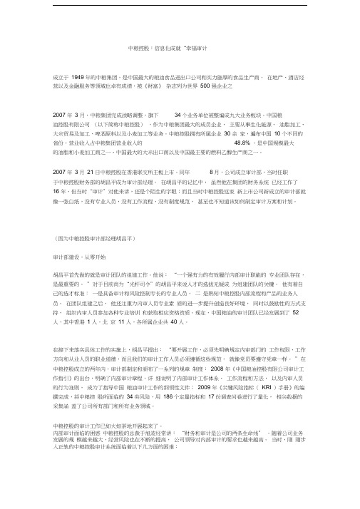 中粮控股审计信息化案例