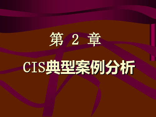 企业形象设计CIS-CIS经典案例分析.ppt