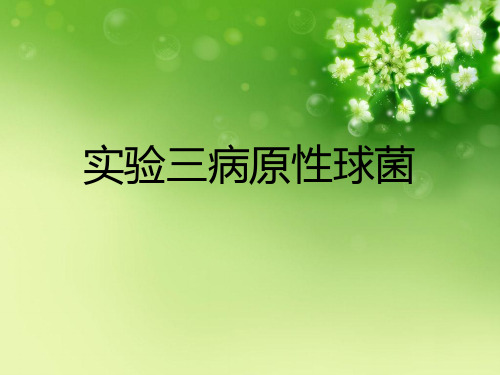 实验三病原性球菌优秀课件