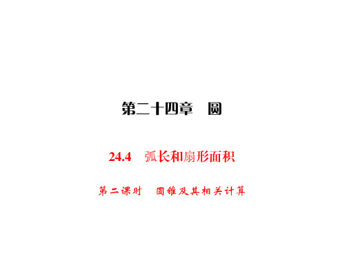 人教版九年级上册数学同步练习课件-第24章 圆-24.4 第2课时圆锥及其相关计算