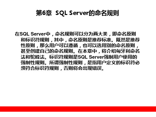 第06章  SQL Server的命名规则