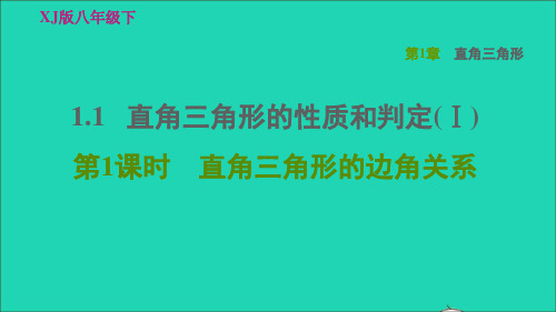 八年级下册1、1直角三角形的性质和判定Ⅰ第1课时直角三角形的边角关系习题新版湘教版