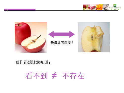 抗氧化三剑客