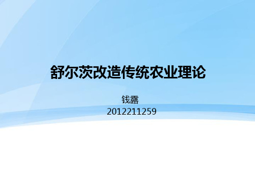 舒尔茨改造传统农业理论