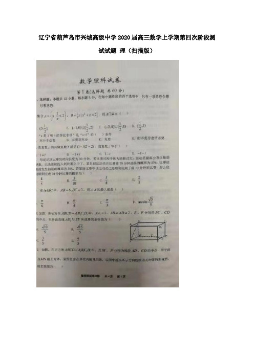 辽宁省葫芦岛市兴城高级中学2020届高三数学上学期第四次阶段测试试题理(扫描版)