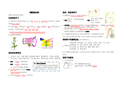 四年级下册第二单元《新的生命》8k