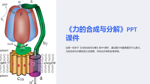 《力的合成与分解》课件