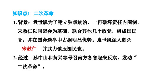 人教版八年级上册历史习题课件第3单元第11课北洋政府的统治与军阀割