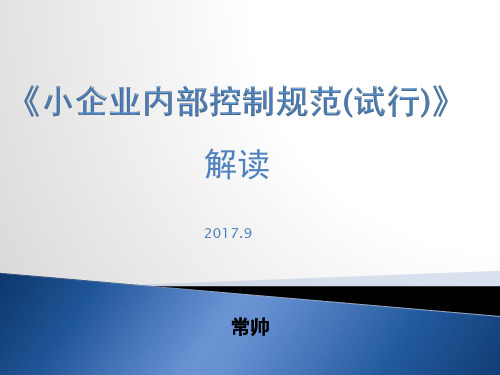 《小企业内部控制规范(试行)》解读