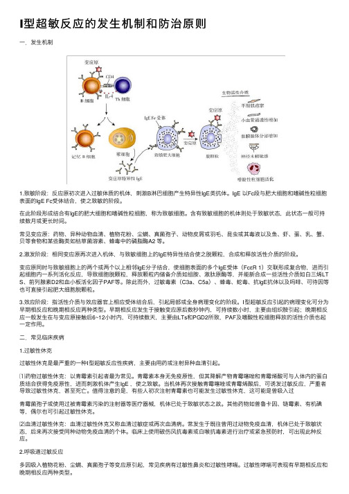 Ⅰ型超敏反应的发生机制和防治原则