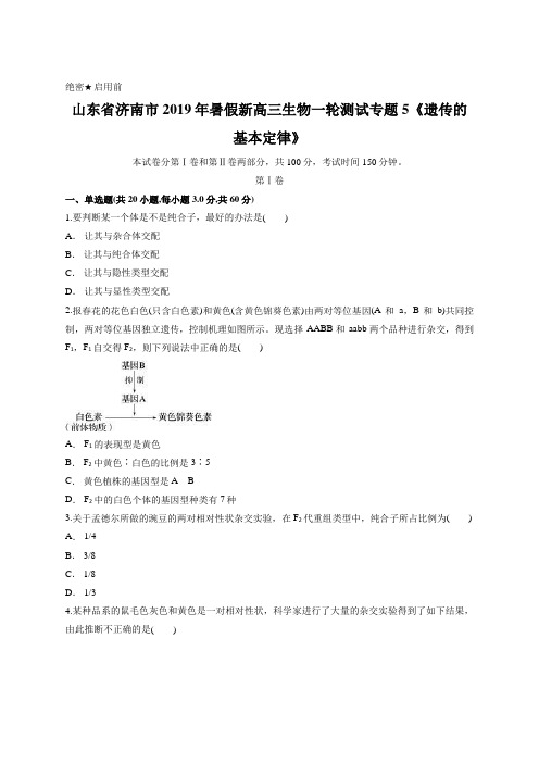 山东省济南市2019年暑假新高三生物一轮测试专题5《遗传的基本定律》(含答案)