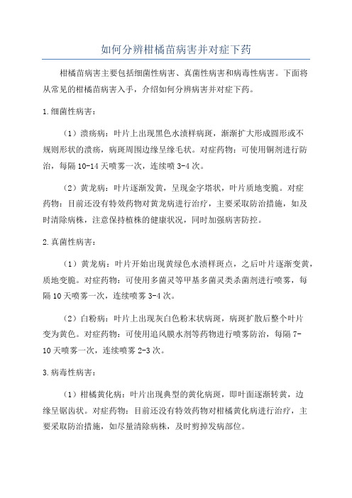 如何分辨柑橘苗病害并对症下药