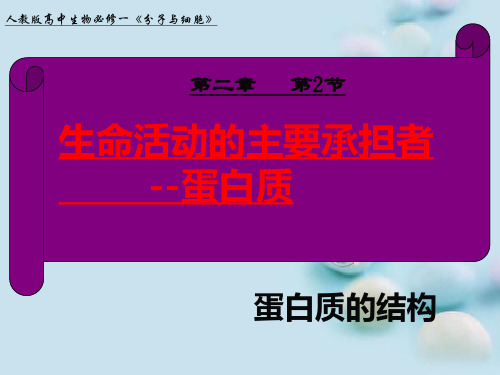 生命活动的主要承担者——蛋白质说课课件