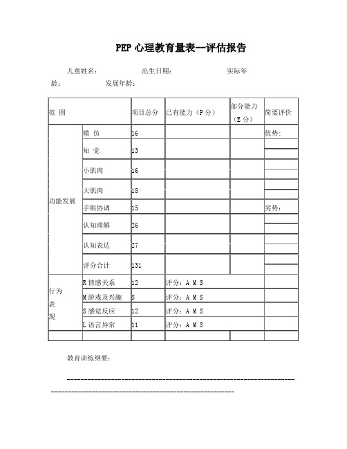 PEP-3孤独症儿童心理教育量表评估报告解析