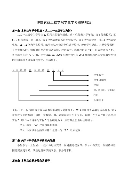 学号编制规定