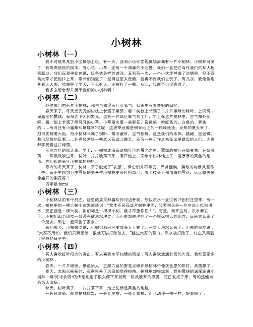 小树林作文共九篇