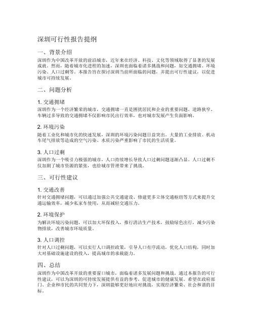 深圳可行性报告提纲