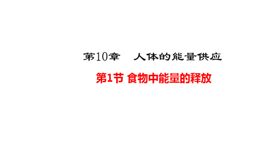 北师大版七年级下册第4单元生物圈中的人第10章人体的能量供应教学课件