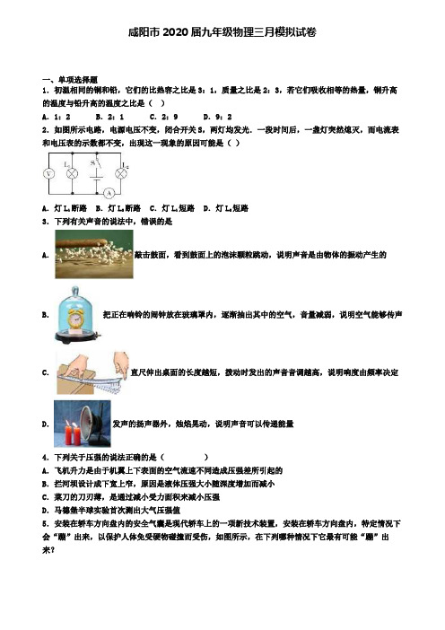 咸阳市2020届九年级物理三月模拟试卷