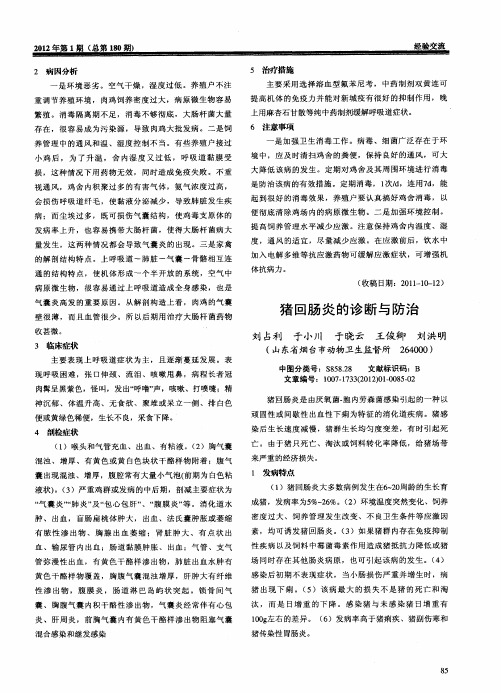 猪回肠炎的诊断与防治
