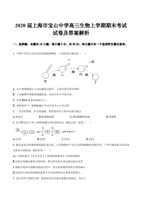 2020届上海市宝山中学高三生物上学期期末考试试卷及答案解析