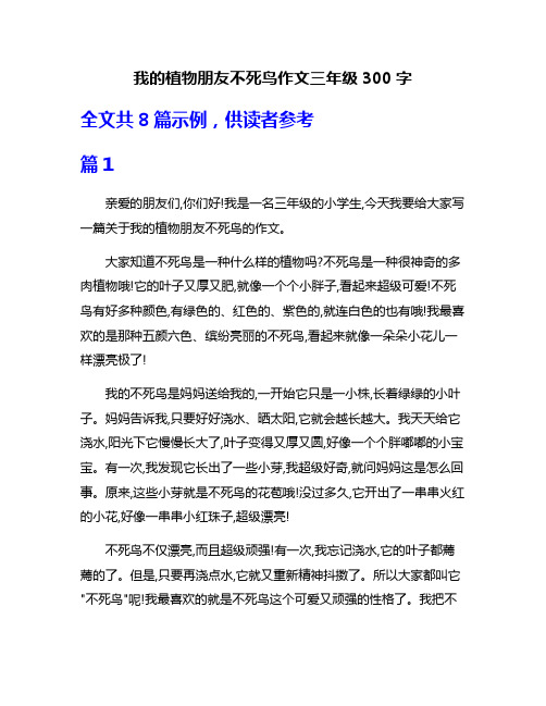 我的植物朋友不死鸟作文三年级300字