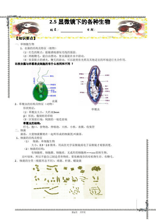 7.2.5显微镜下的各种生物