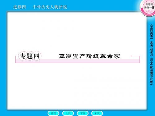 高三历史总复习课件：选4-4亚洲资产阶级革命家