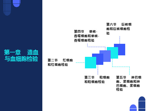 临床血液学检验-1-2-各系血细胞及检验