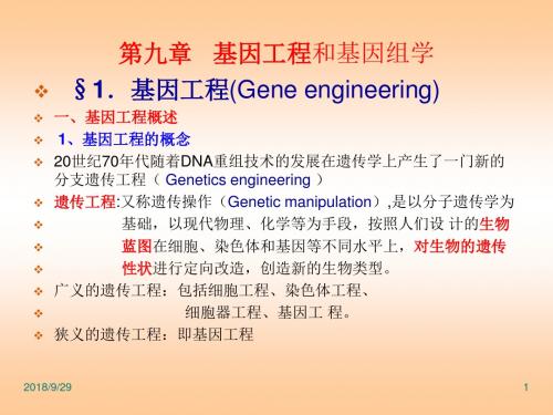 遗传学 第九章 基因工程和基因组学  PPT课件