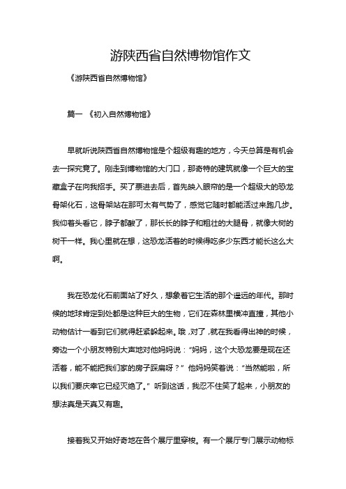 游陕西省自然博物馆作文