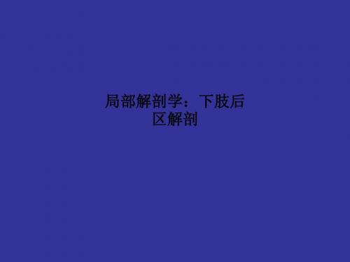 [医学]局部解剖学：下肢后区解剖