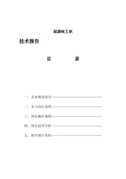 煤化工能源化工系技术报告